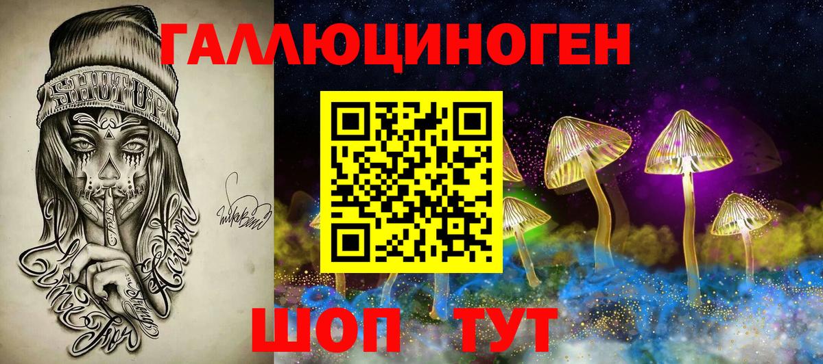 Псилоцибиновые грибы Cubensis Дубна