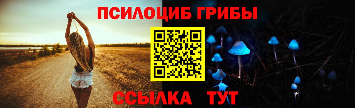 Дубна  Галлюциногенные грибы мицелий  Вход с VPN  Псилоцибиновые грибы Cubensis 